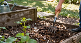 Is Mulching Worth It? 6 Surprising Reasons To Tackle This Garden Task Now – From Frost Protection To Healthier Soil